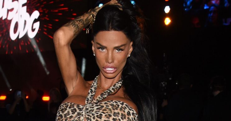 Katie Price posing