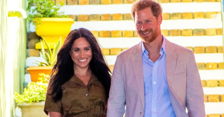 Meghan Markle and Prince Harry look delighted