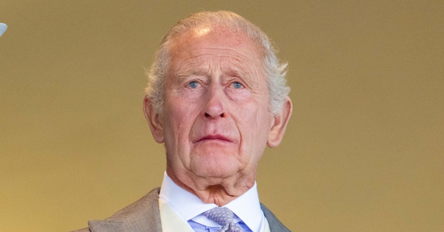 King Charles looks directly at the camera.