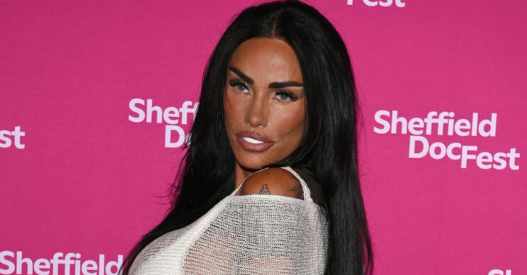 Katie Price on the red carpet