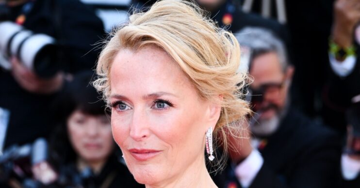 Gillian Anderson on the red carpet