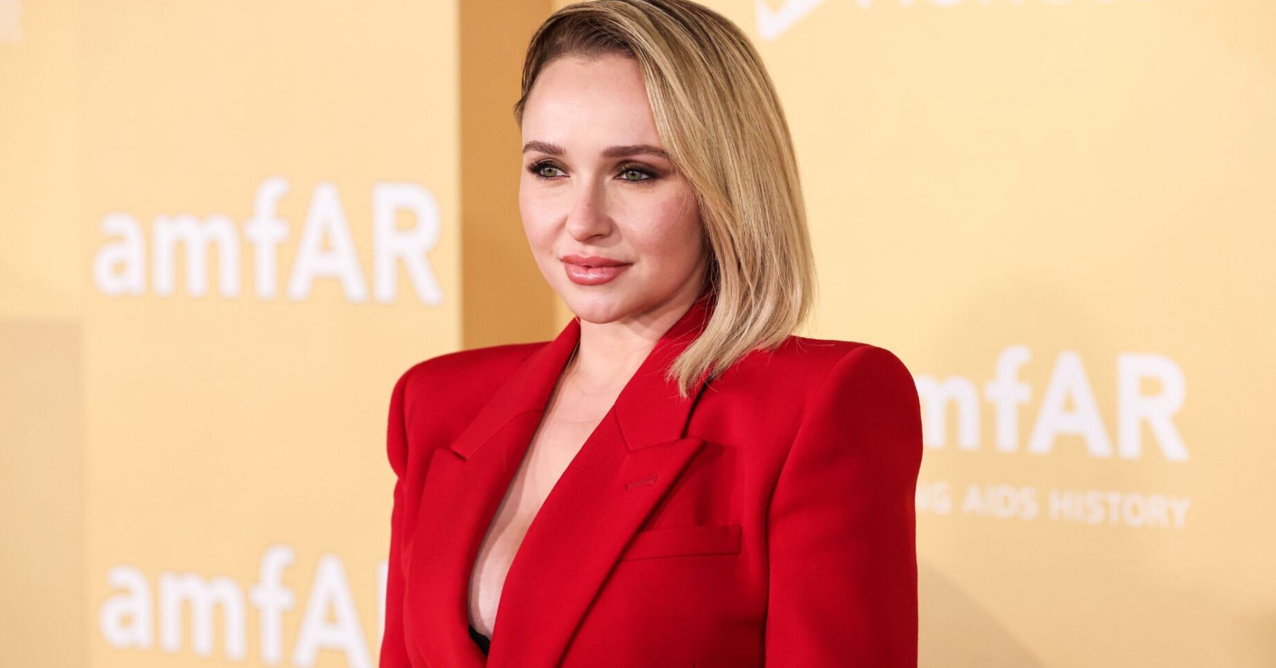 Hayden Panettiere on the red carpet