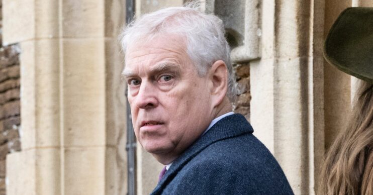 Andrew Mountbatten-Windsor during Christmas walkabout