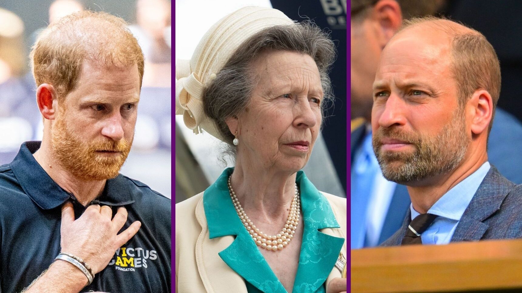 Prince Harry / Princess Anne / Prince William