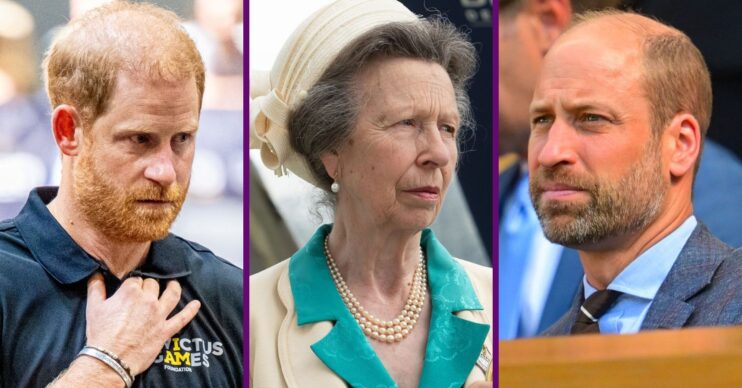 Prince Harry / Princess Anne / Prince William