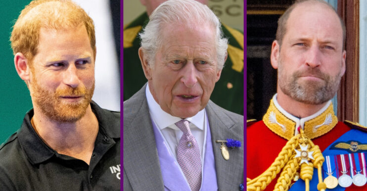 RI composite of Prince Harry at Invictus Games, King Charles at Ascot and Prince William at Trooping the Colour