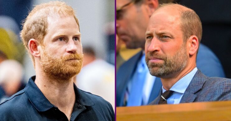Prince Harry / Prince William