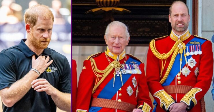 Prince Harry / King Charles & Prince William