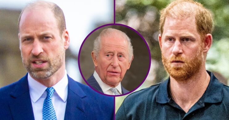 RI composite of Prince William, King Charles and Prince Harry at different events