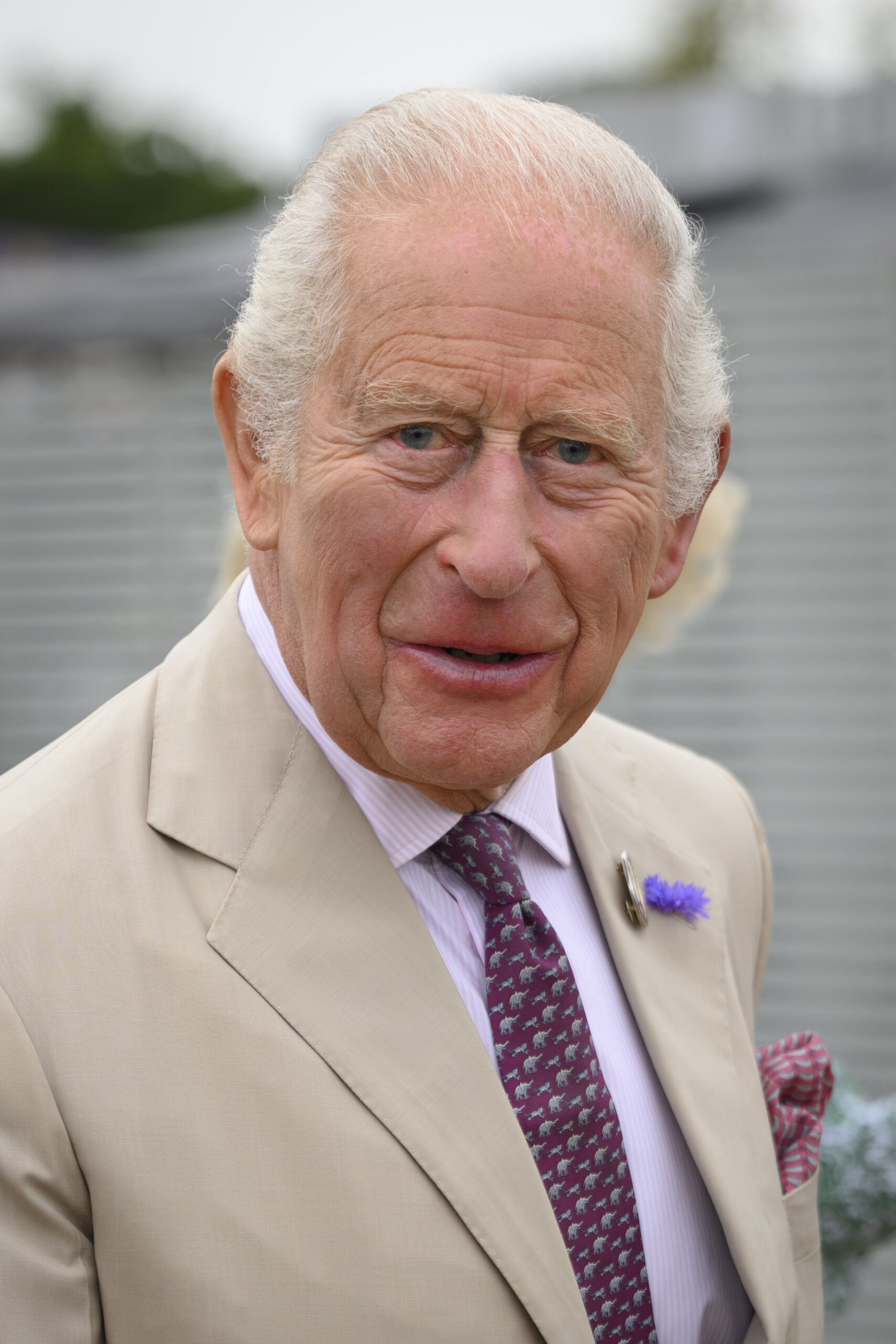 King Charles in beige suit jacket at engagement