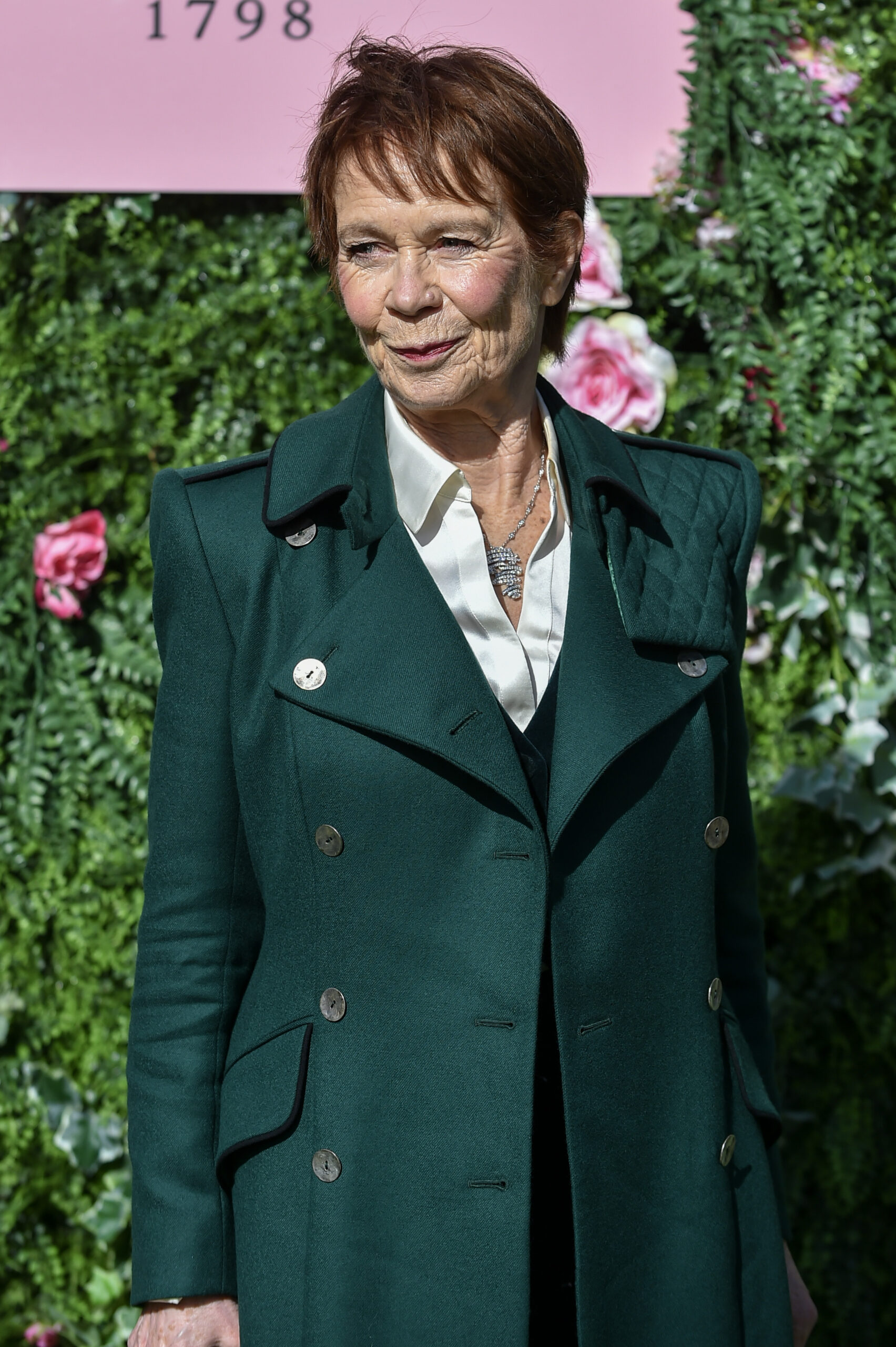 Celia Imrie on the red carpet 