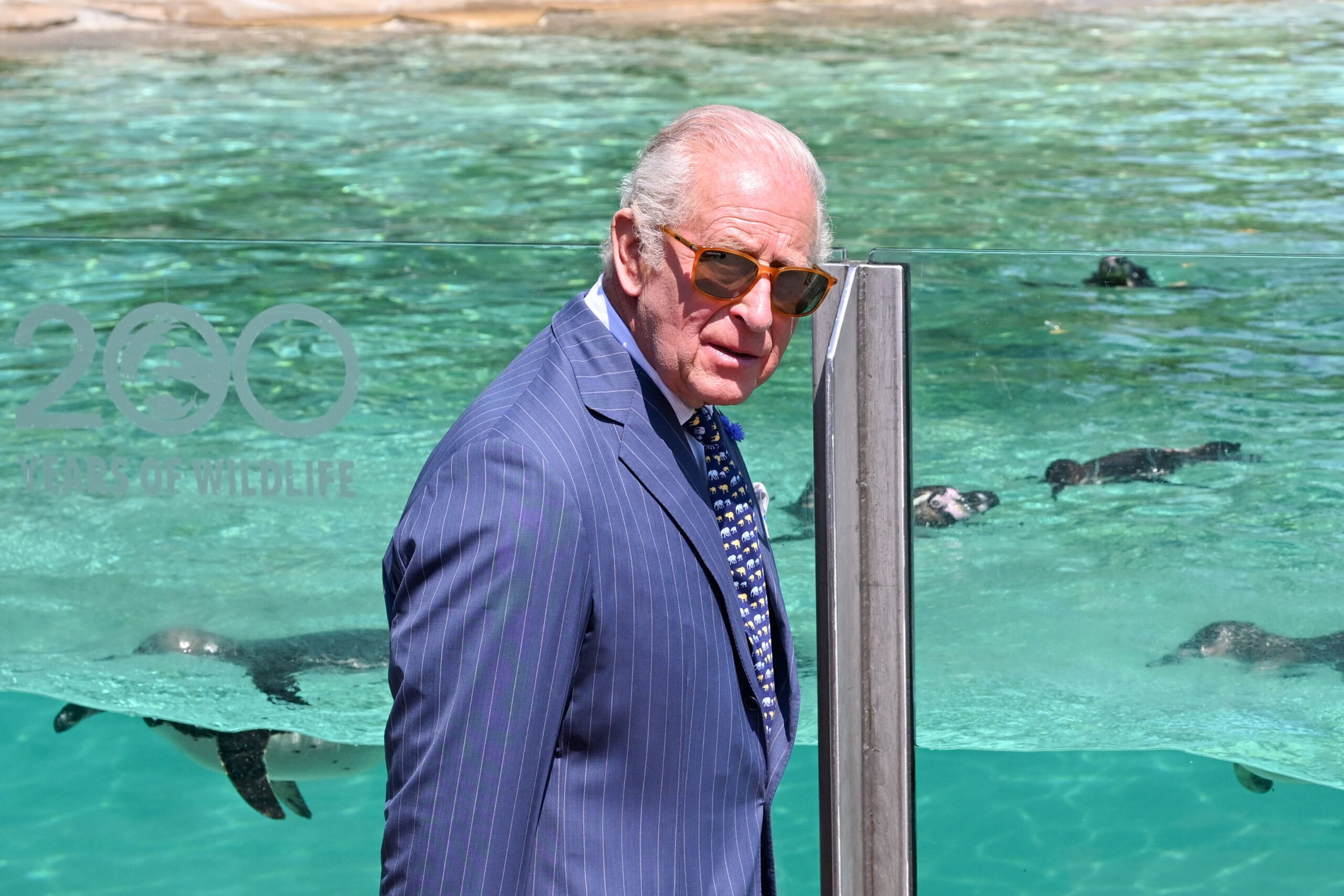 King Charles hangs out with the penguins