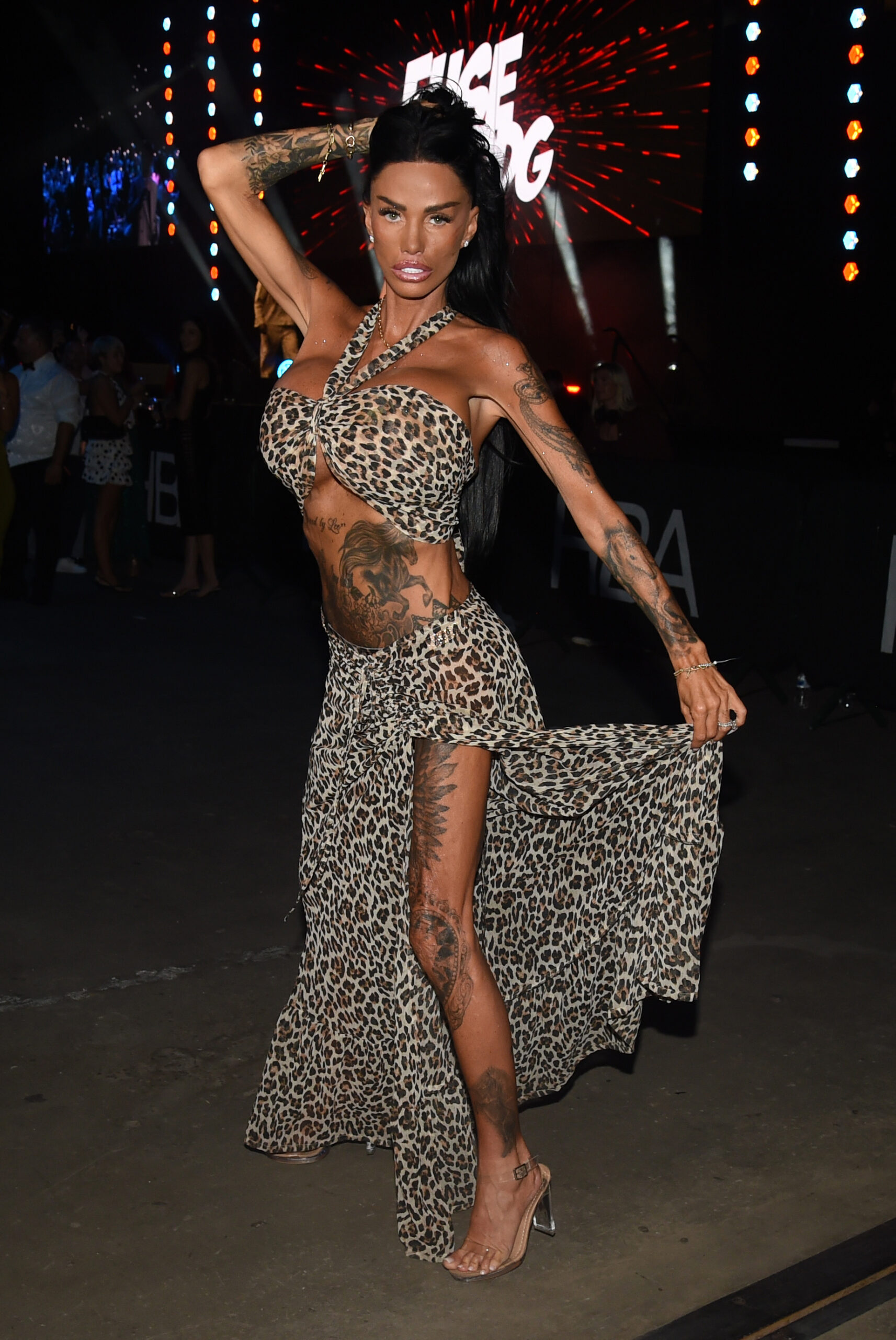 Katie Price posing