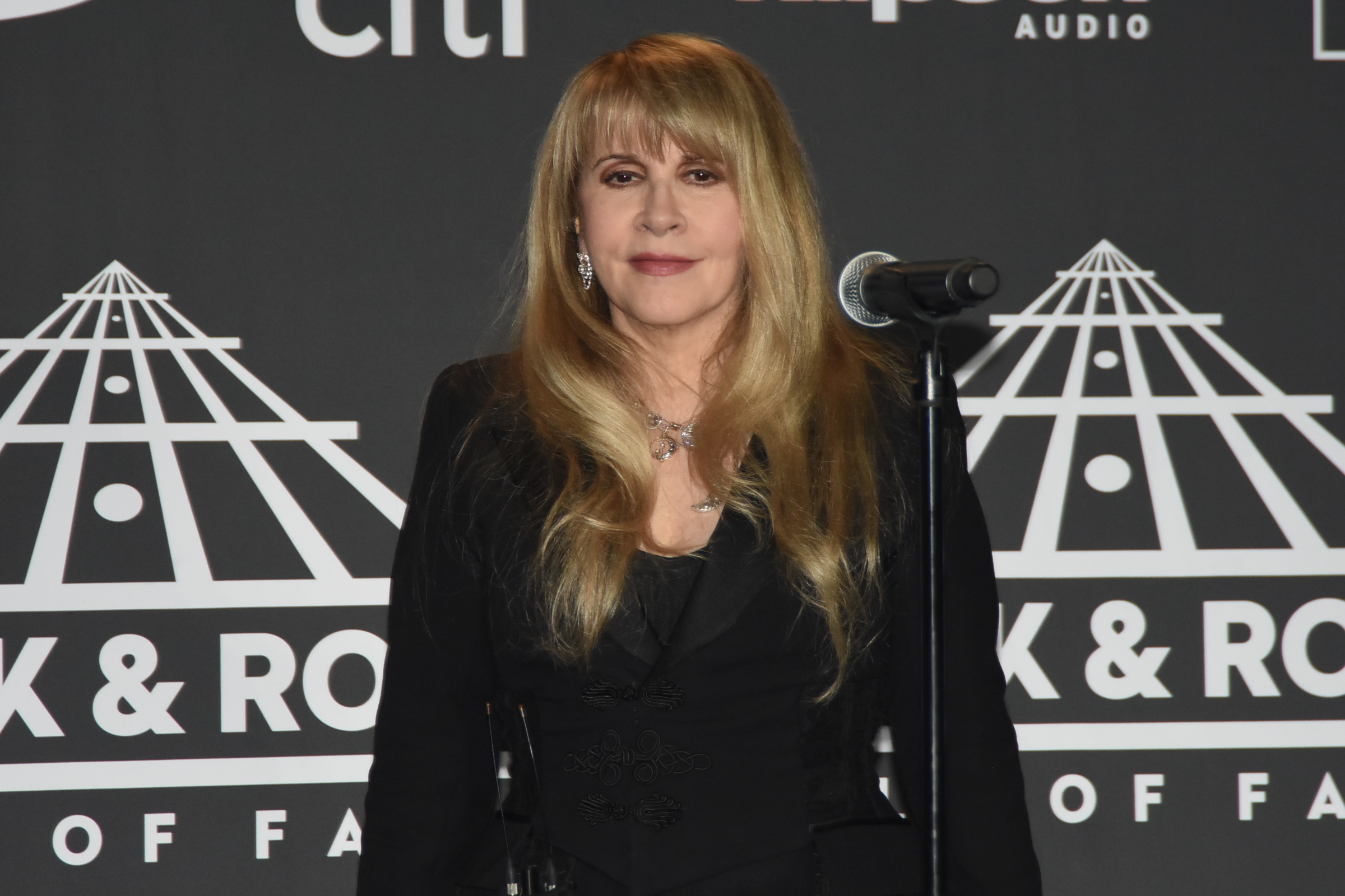 Stevie Nicks on the red carpet 