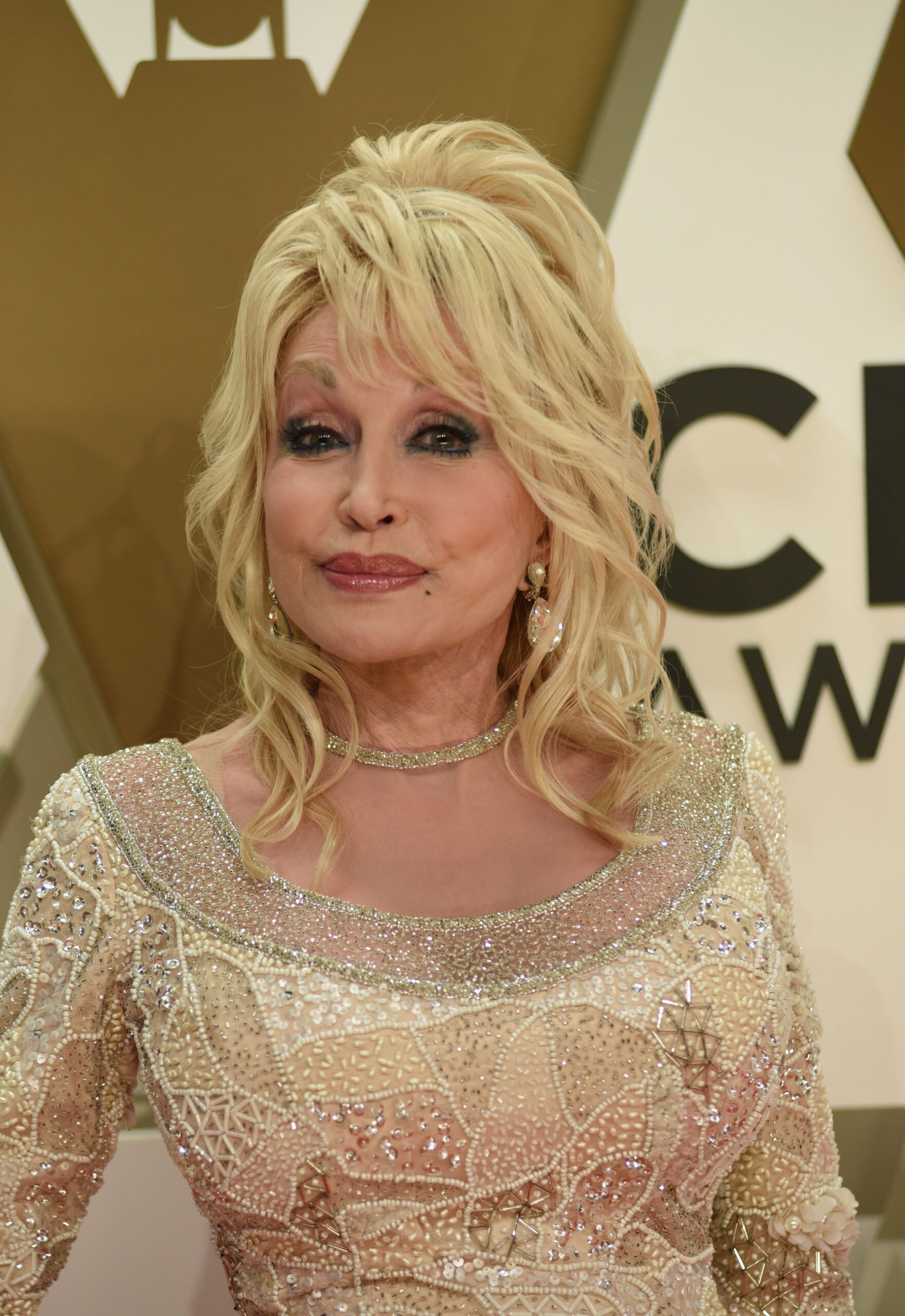 Dolly Parton wears shimmering outfit on red carpet