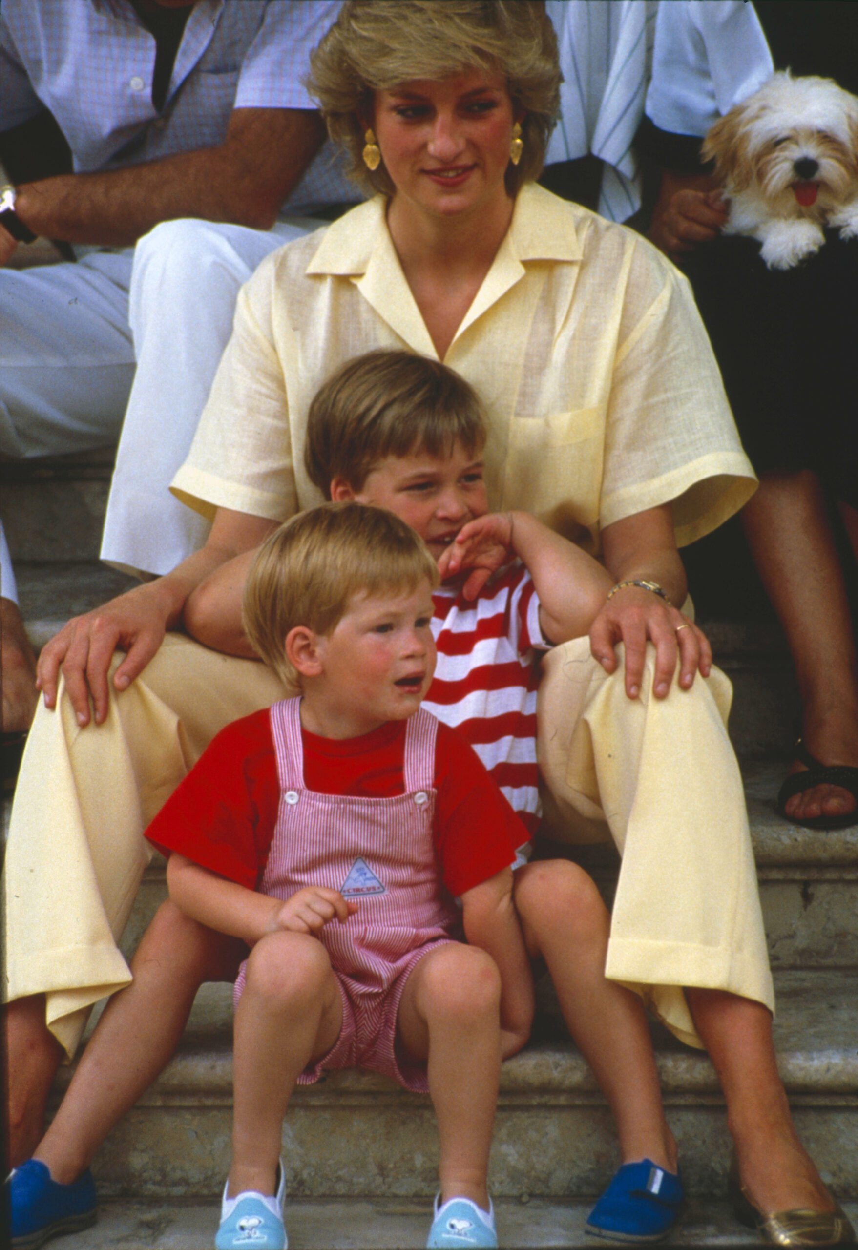 Princess Diana pictured with young William and Harry
