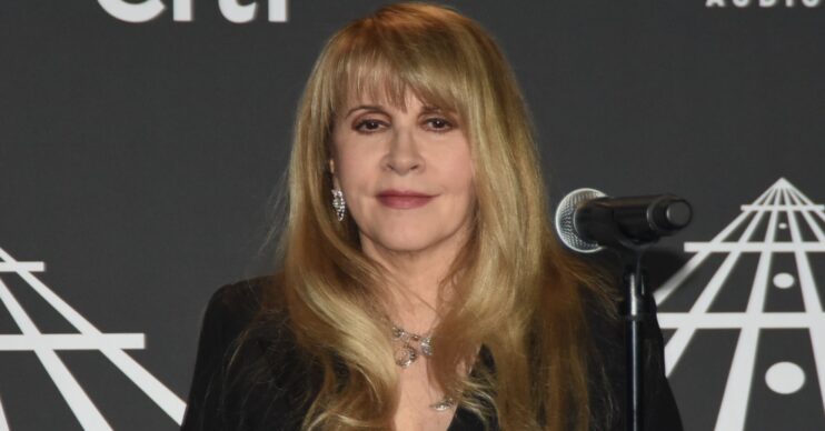 Stevie Nicks on the red carpet