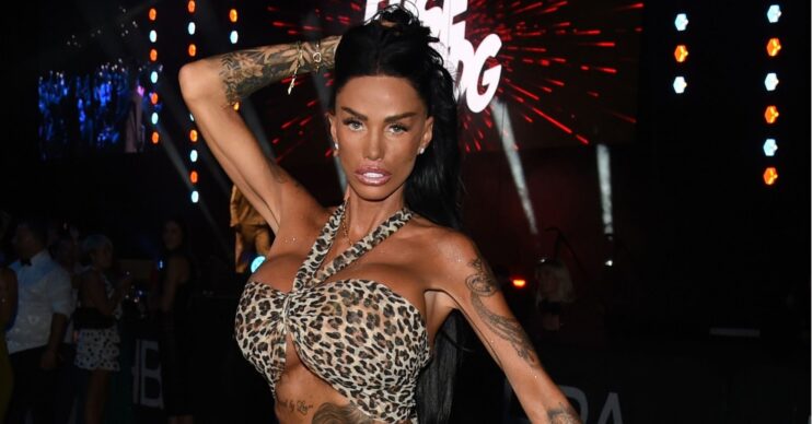 Katie Price posing
