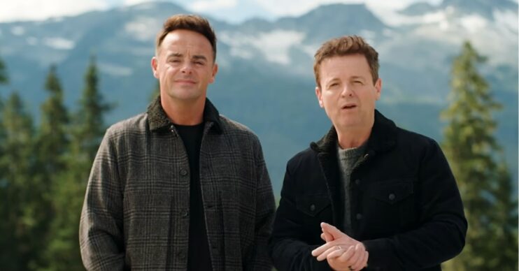 Ant and Dec in I'm A Celebrity