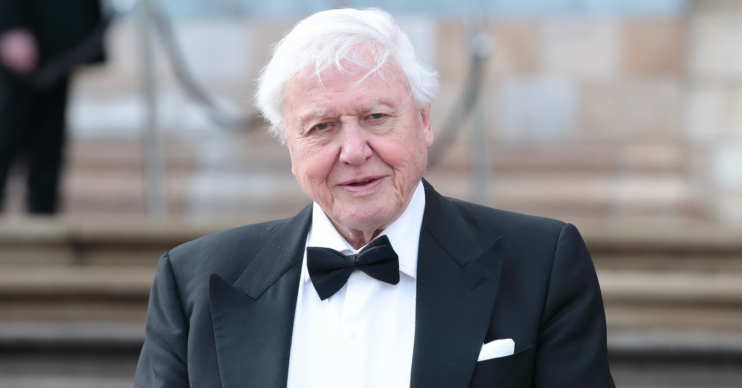 David Attenborough wears a tux