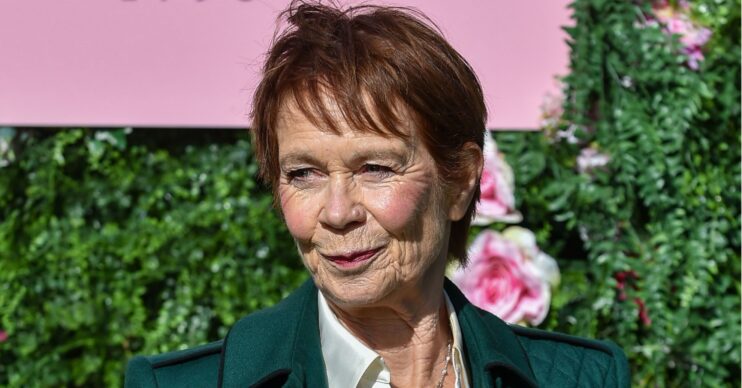 Celia Imrie on the red carpet