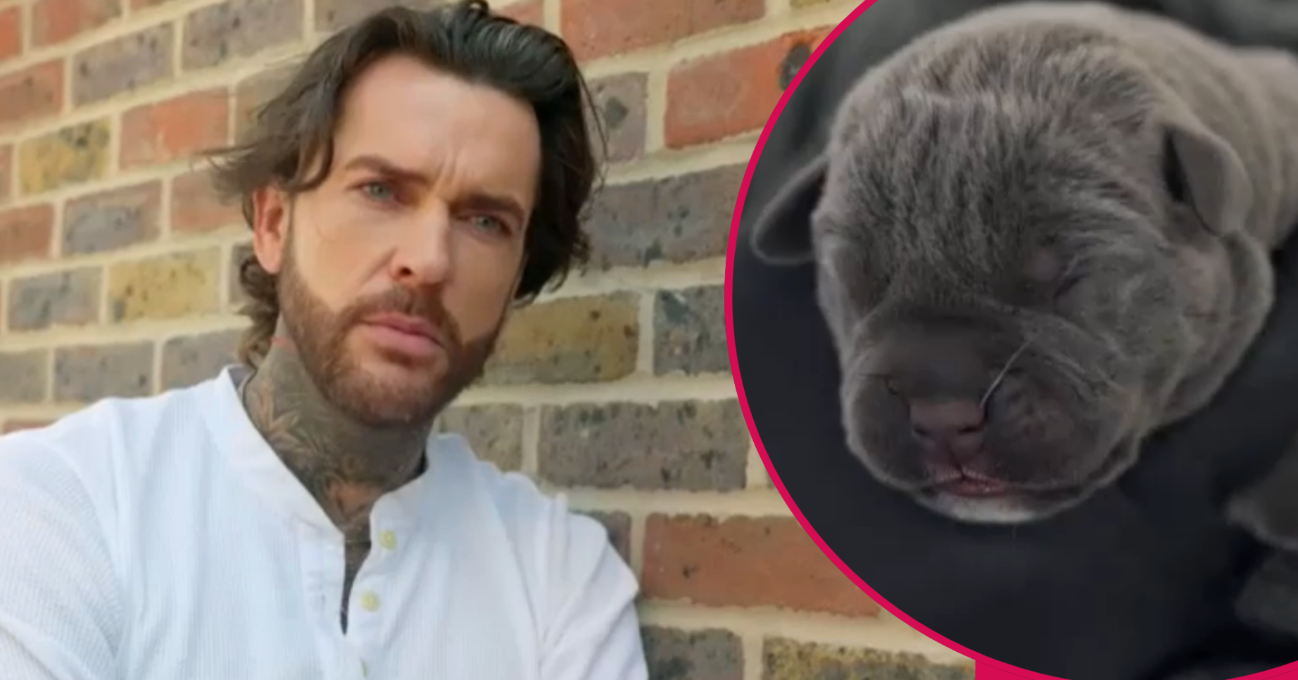 Pete Wicks puppy Cane Corso