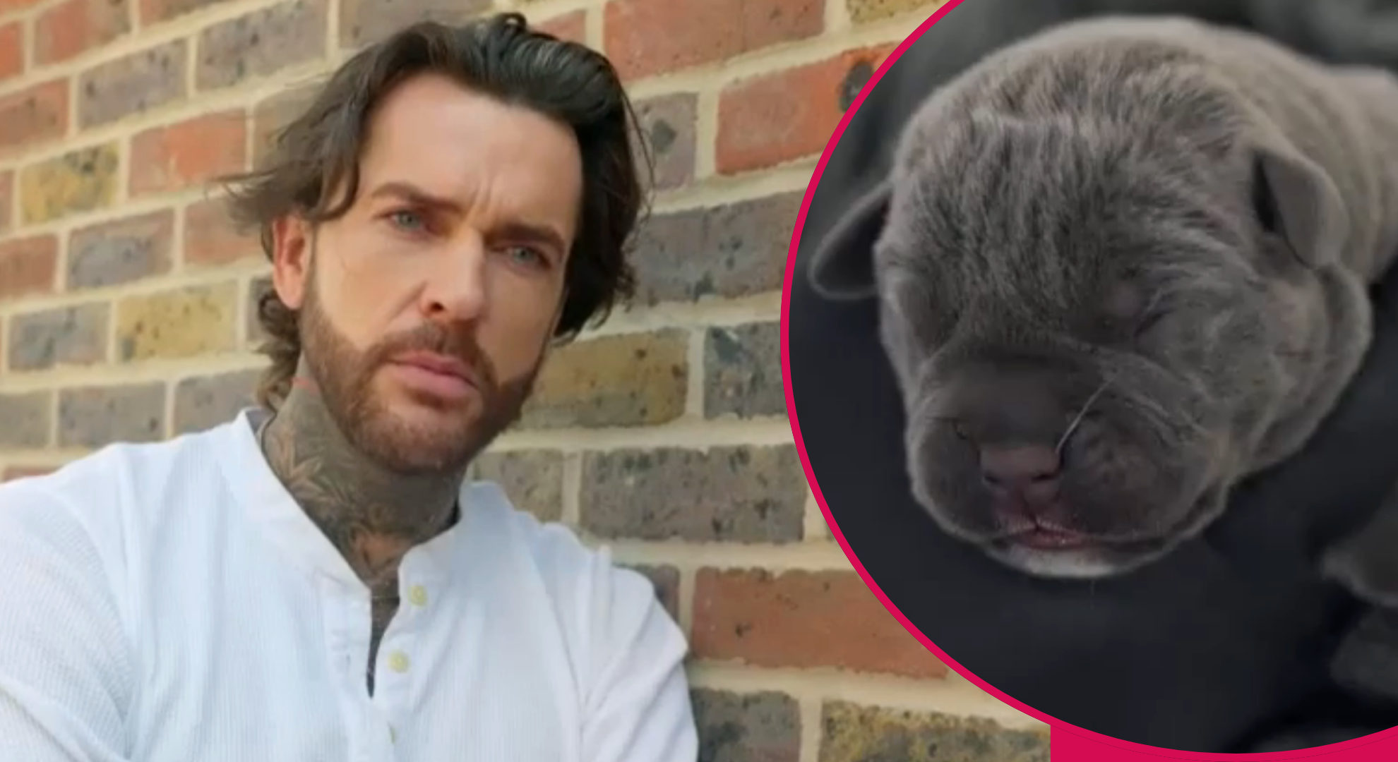 Pete Wicks left in tears over ‘upsetting and unexpected arrival’ as Pete Wicks: For Dogs’ Sake returns