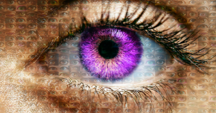 Purple Big Brother Eye