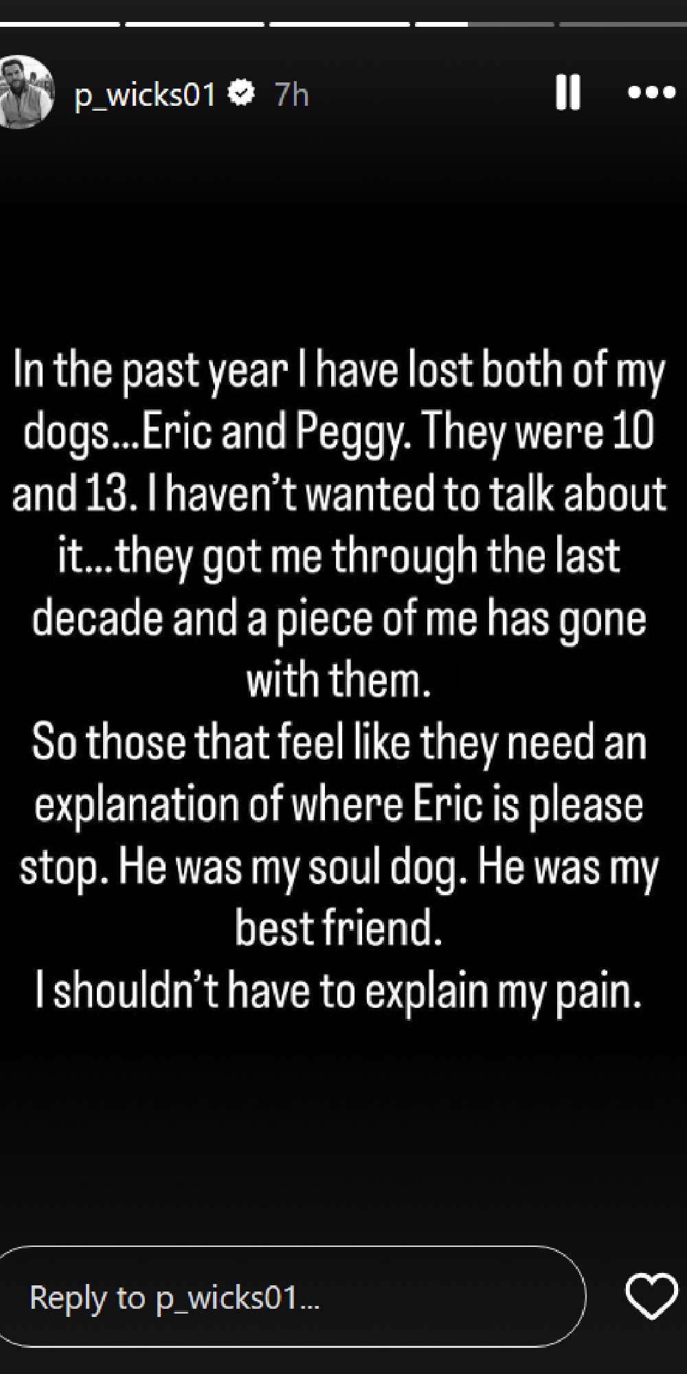 Pete Wicks shares death of his dogs