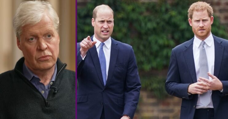 RI comp: Charles Spencer / William and Harry walking