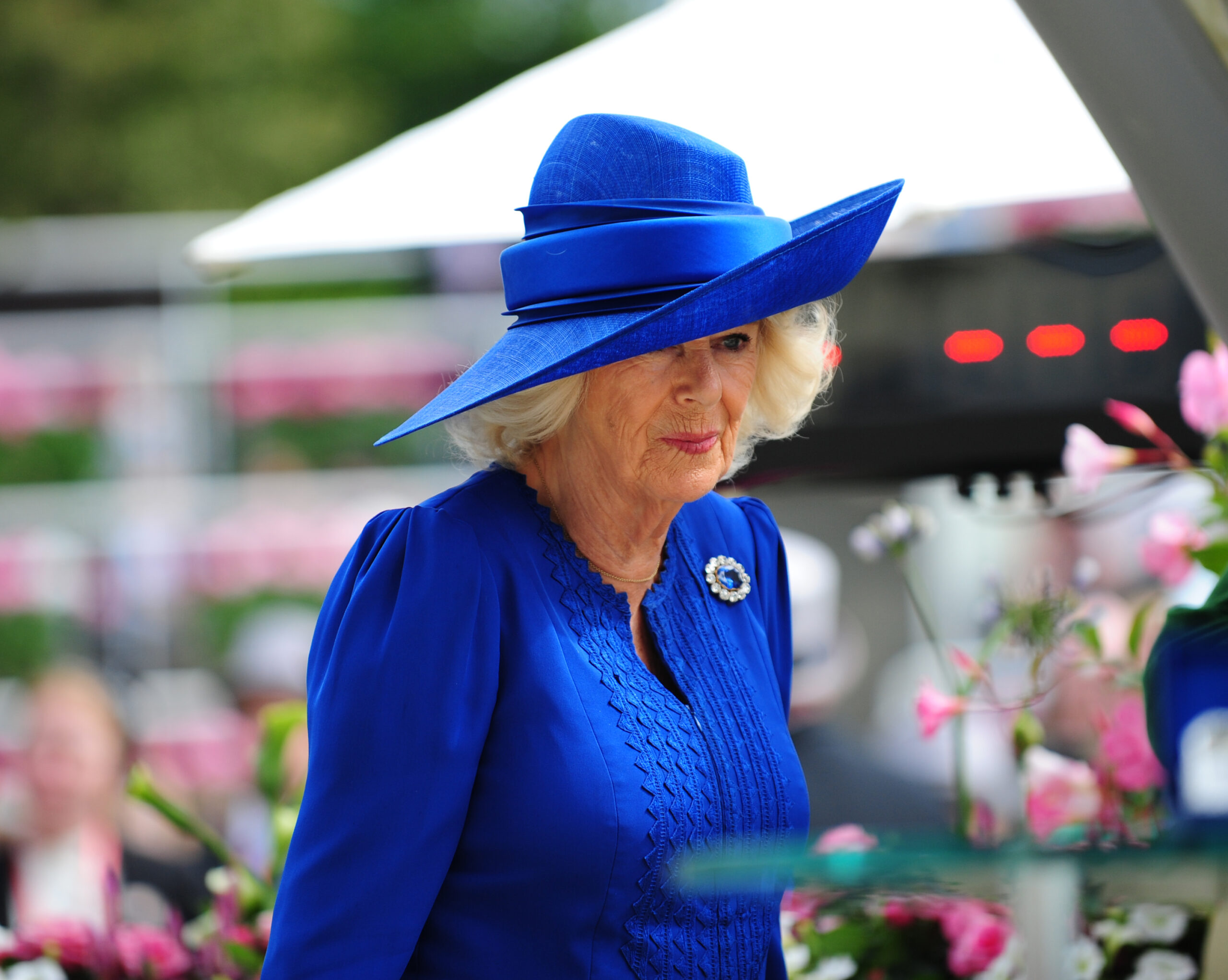 Queen Camilla in blue