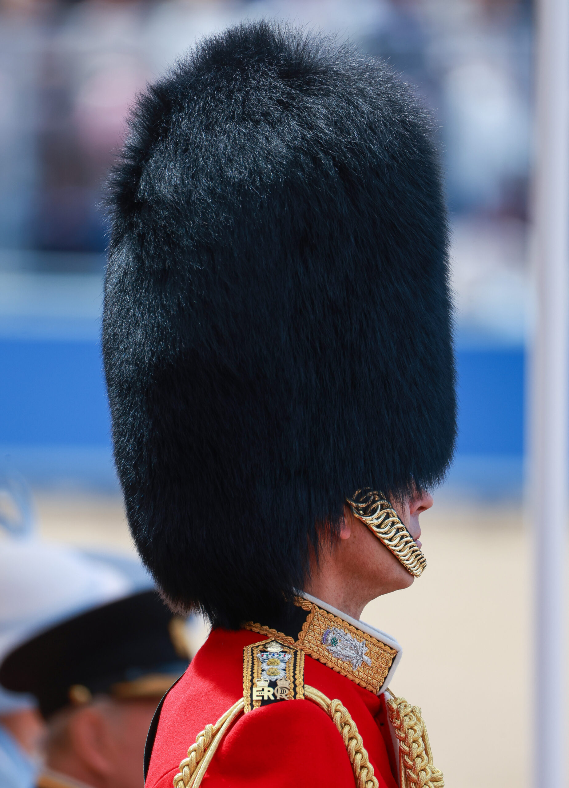 King's Guard wear bear hats