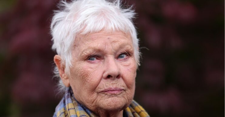 Judi Dench at the RHS Chelsea Flower Show