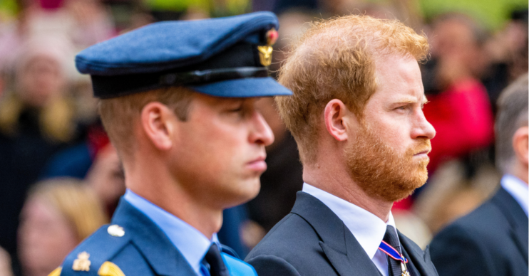 Prince William and Prince Harry stand side-by-side