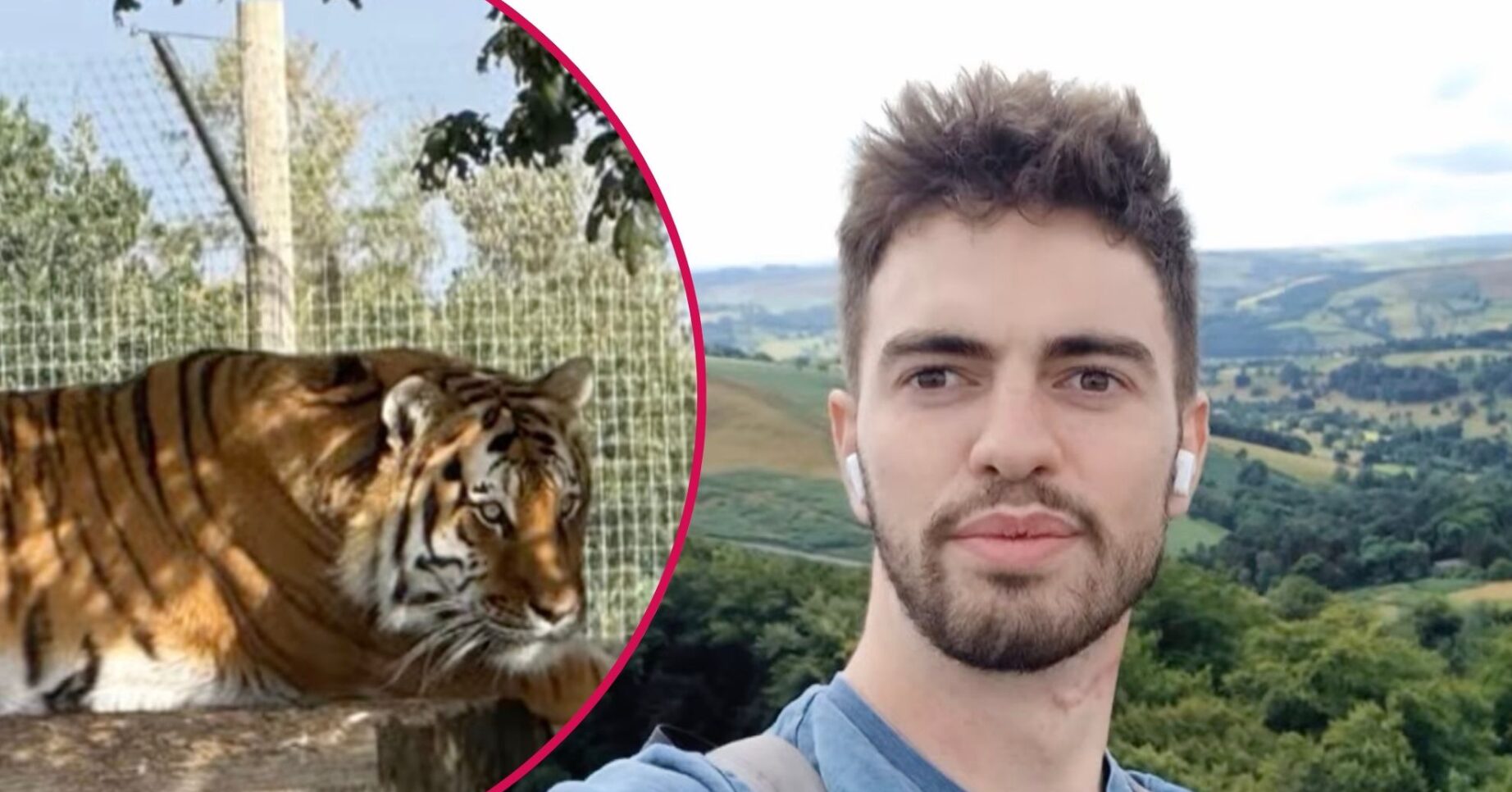 Yorkshire Wildlife Park tiger/William Chapman selfie