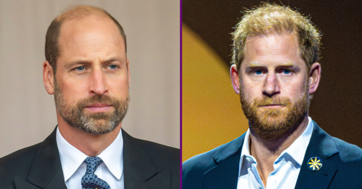 Prince William / Prince Harry