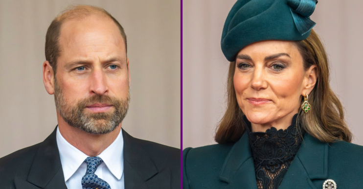 RI composite of Prince William and Princess Kate during state visit
