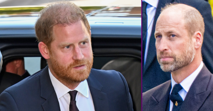 RI composite of Prince Harry and Prince William at different events