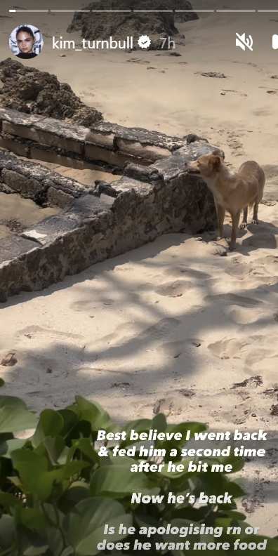 The stray dog that bit Romeo Beckham's girlfriend Kim Turnball