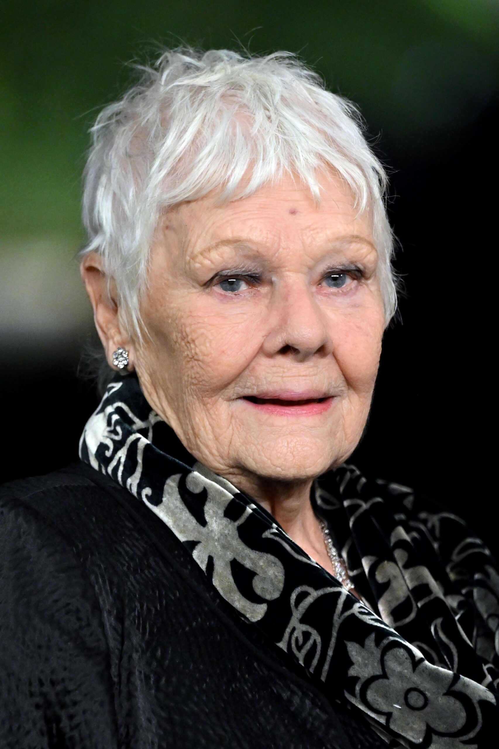 Judi Dench at the Prime Video's 'Finding Harmony A King's Vision' film premiere, Windsor Castle, UK - 28 Jan 2026