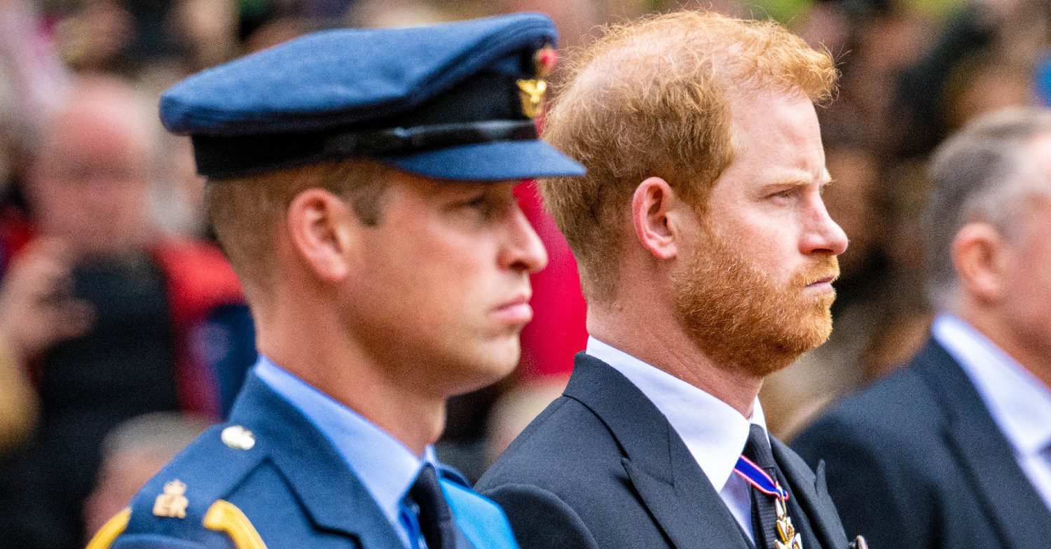 Princess Diana Prince Harry